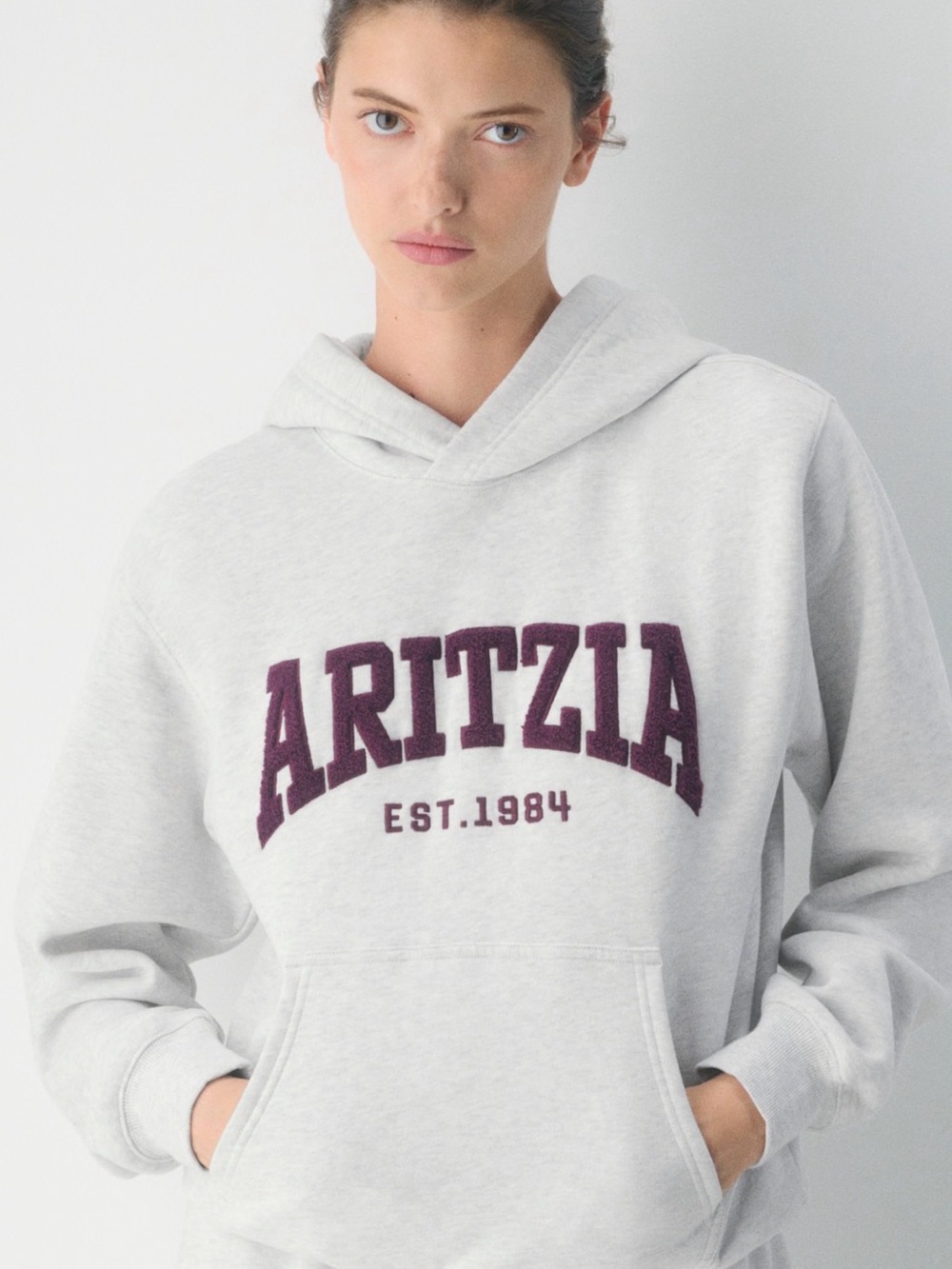 Aritzia Cozy Sweatfleece Perfect Hoodie XS